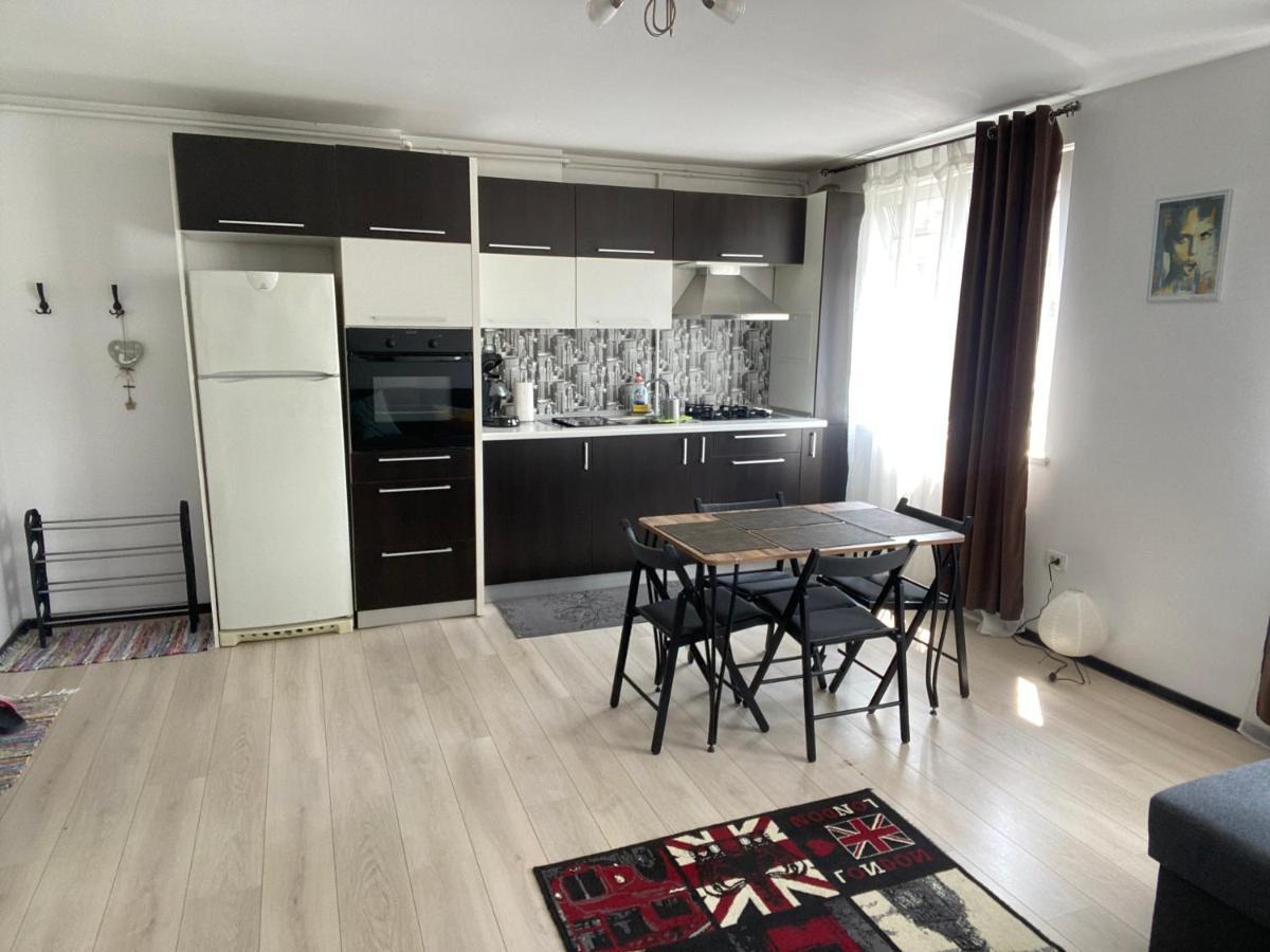 Tourist Apartment 1 Piatra Neamţ Dış mekan fotoğraf